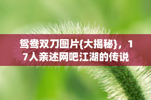17人亲述网吧江湖的传说图片