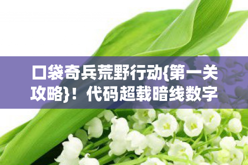 代码超载暗线数字暴动解析图片