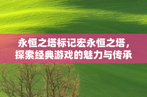 探索经典游戏的魅力与传承图片