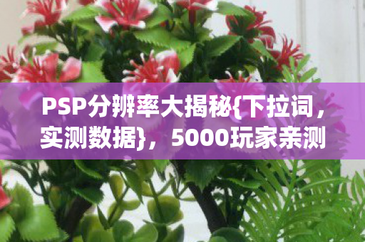 5000玩家亲测真相图片