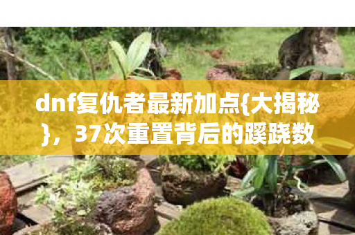 dnf复仇者最新加点{大揭秘},37次重置背后的蹊跷数据 dnf复仇者最新加点{大揭秘},37次重置背后的蹊跷数据