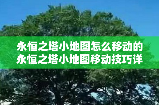 永恒之塔小地图怎么移动的永恒之塔小地图移动技巧详解图片