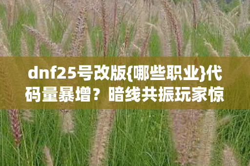 dnf25号改版{哪些职业}代码量暴增?暗线共振玩家惊了 dnf25号改版{哪些职业}代码量暴增?暗线共振玩家惊了