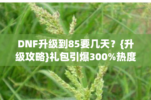 DNF升级到85要几天?{升级攻略}礼包引爆300%热度! DNF升级到85要几天?{升级攻略}礼包引爆300%热度!