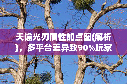 天谕光刃属性加点图图片