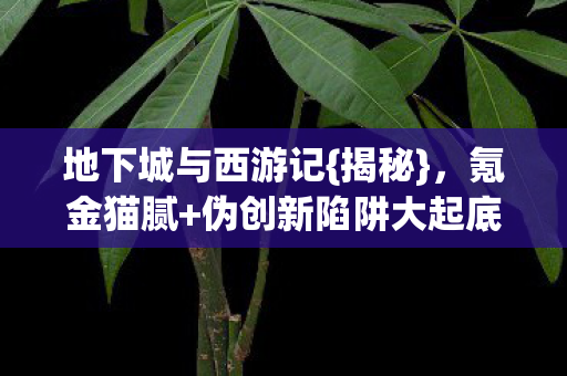 伪创新陷阱大起底图片