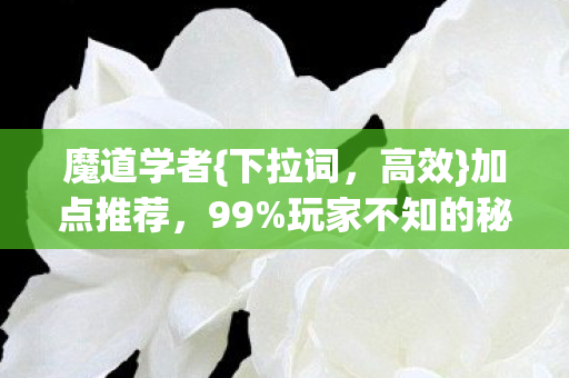 玩家不知的秘籍图片