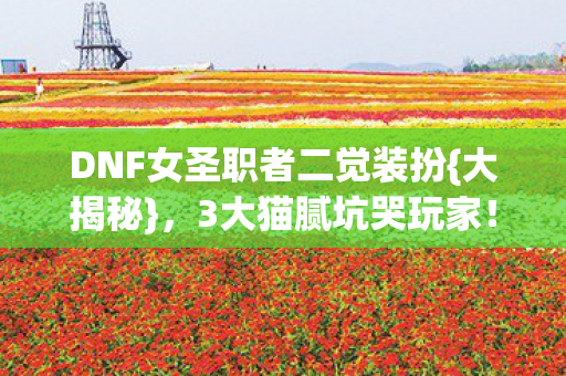 DNF女圣职者二觉装扮图片