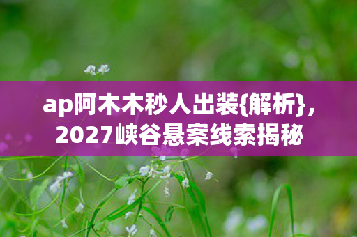 2027峡谷悬案线索揭秘图片