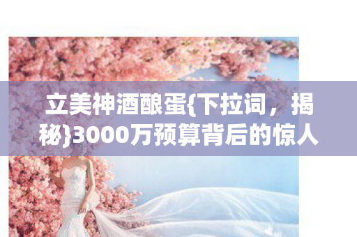 3000万预算背后的惊人隐情图片