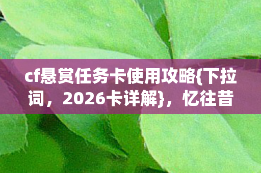 cf悬赏任务卡使用攻略图片