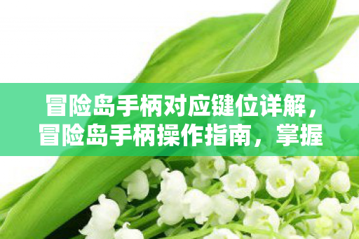 冒险岛手柄对应键位详解,冒险岛手柄操作指南,掌握键位,畅游游戏世界 冒险岛手柄对应键位详解,冒险岛手柄操作指南,掌握键位,畅游游戏世界