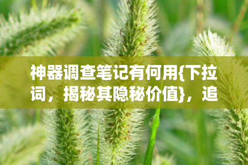 神器调查笔记有何用图片