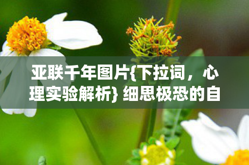 细思极恐的自我麻醉之旅图片