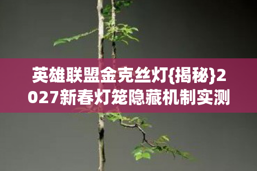 2027新春灯笼隐藏机制实测图片