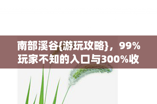 玩家不知的入口与300图片