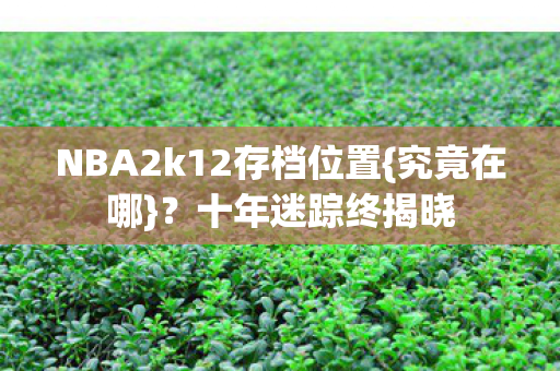 NBA2k12存档位置图片