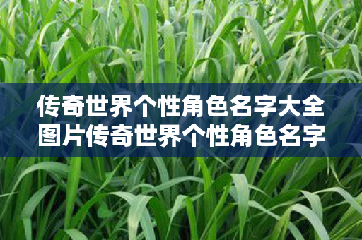 传奇世界个性角色名字大全图片传奇世界个性角色名字大全图片