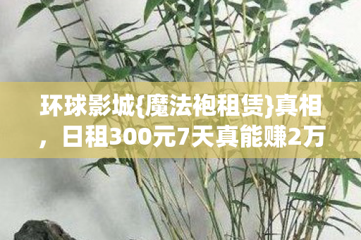 日租300元7天真能赚2万图片