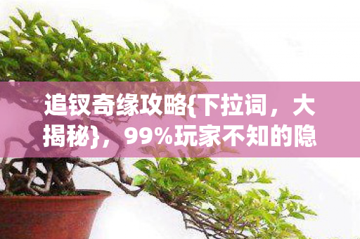 玩家不知的隐藏机制图片