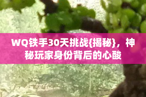 神秘玩家身份背后的心酸图片