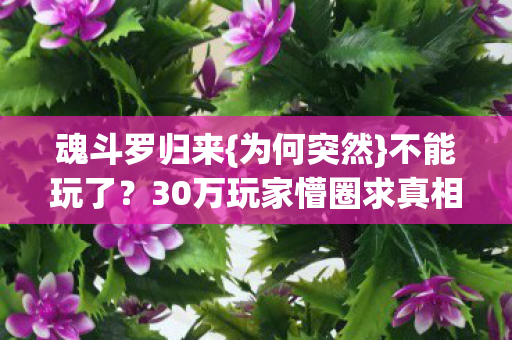 30万玩家懵圈求真相图片