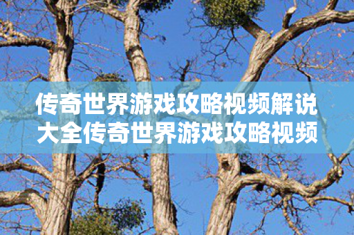 传奇世界游戏攻略视频解说大全传奇世界游戏攻略视频解说图片