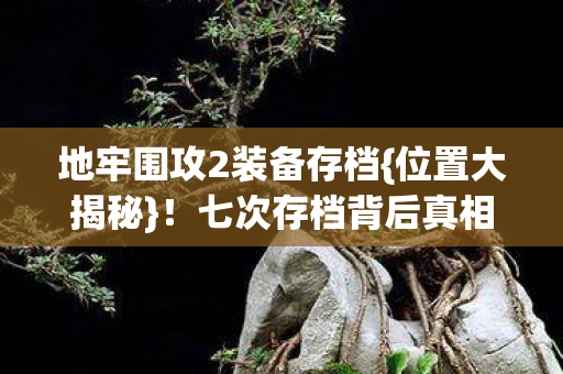 地牢围攻2装备存档图片