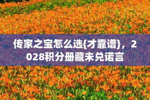 2028积分册藏未兑诺言图片