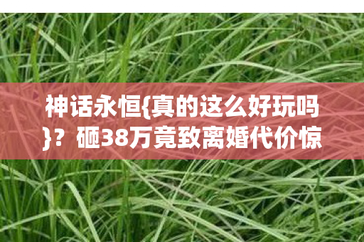 砸38万竟致离婚代价惊人图片