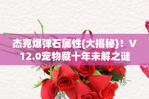 0宠物藏十年未解之谜图片