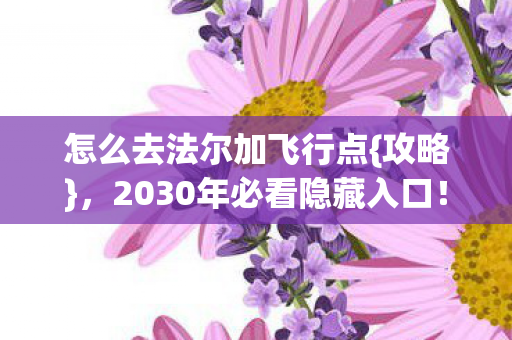 2030年必看隐藏入口图片