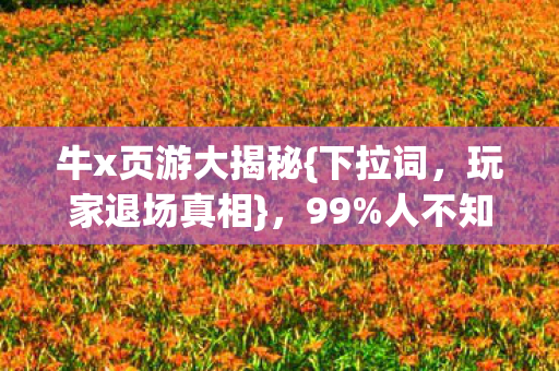 牛x页游大揭秘图片