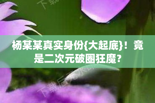 杨某某真实身份{大起底}!竟是二次元破圈狂魔? 杨某某真实身份{大起底}!竟是二次元破圈狂魔?