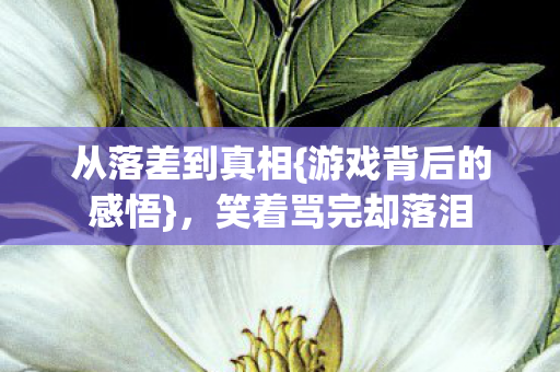 从落差到真相{游戏背后的感悟},笑着骂完却落泪 从落差到真相{游戏背后的感悟},笑着骂完却落泪