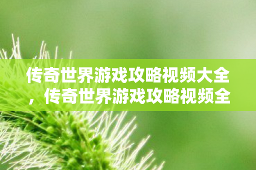 传奇世界游戏攻略视频全解析图片
