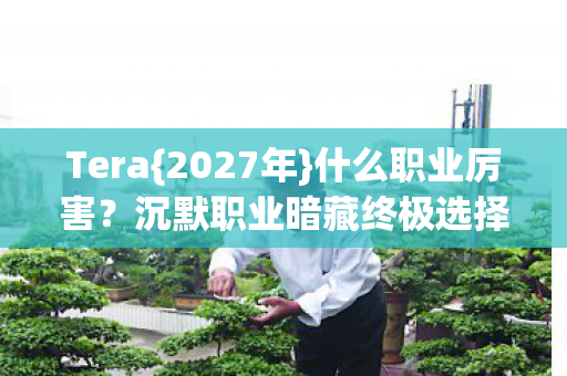 Tera{2027年}什么职业厉害？沉默职业暗藏终极选择？