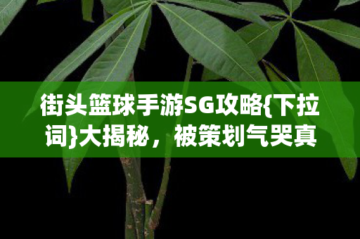 街头篮球手游SG攻略{下拉词}大揭秘,被策划气哭真相 街头篮球手游SG攻略{下拉词}大揭秘,被策划气哭真相