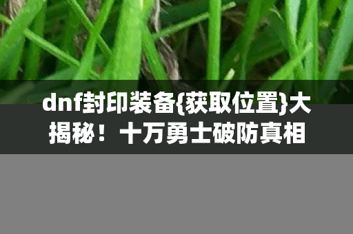 dnf封印装备{获取位置}大揭秘!十万勇士破防真相 dnf封印装备{获取位置}大揭秘!十万勇士破防真相