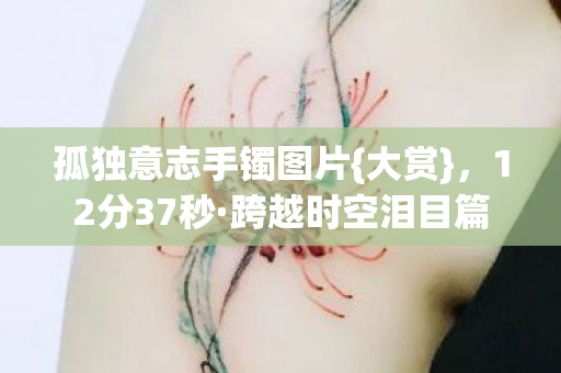 孤独意志手镯图片{大赏},12分37秒·跨越时空泪目篇 孤独意志手镯图片{大赏},12分37秒·跨越时空泪目篇