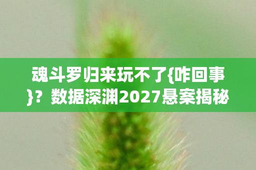 魂斗罗归来玩不了{咋回事}?数据深渊2027悬案揭秘 魂斗罗归来玩不了{咋回事}?数据深渊2027悬案揭秘