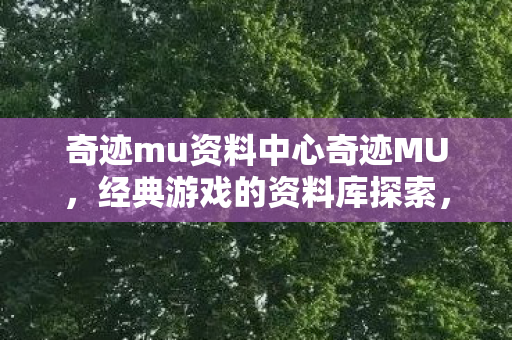 奇迹mu资料中心奇迹MU图片