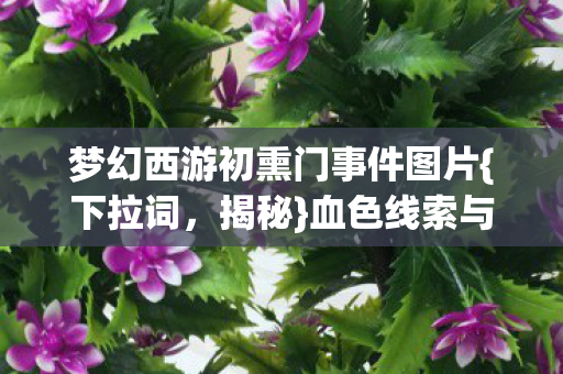 梦幻西游初熏门事件图片{下拉词，揭秘}血色线索与幽影悬案