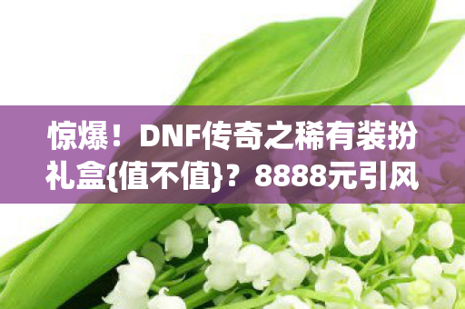 惊爆!DNF传奇之稀有装扮礼盒{值不值}?8888元引风波! 惊爆!DNF传奇之稀有装扮礼盒{值不值}?8888元引风波!