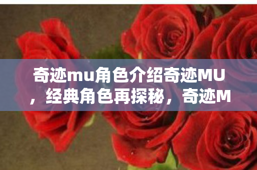 奇迹mu角色介绍奇迹MU图片