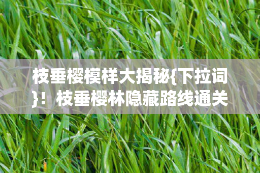 枝垂樱模样大揭秘{下拉词}！枝垂樱林隐藏路线通关密码