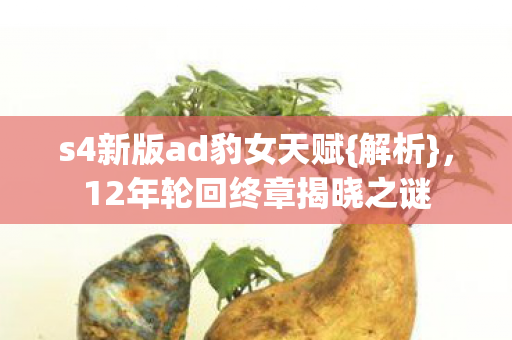 12年轮回终章揭晓之谜图片