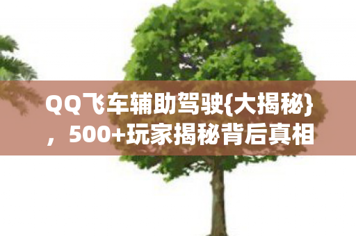 QQ飞车辅助驾驶图片