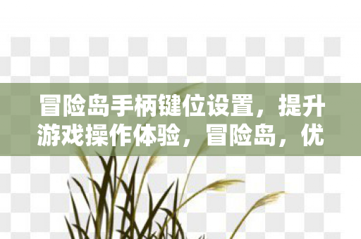 冒险岛手柄键位设置，提升游戏操作体验，冒险岛，优化手柄键位设置，提升游戏操作体验