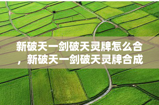 新破天一剑破天灵牌怎么合,新破天一剑破天灵牌合成攻略 新破天一剑破天灵牌怎么合,新破天一剑破天灵牌合成攻略